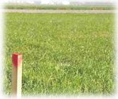 測量業務のご案内