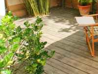 �E�b�h�f�b�L�̖���