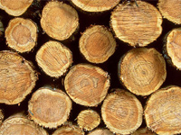 �؂̍���Ń����b�N�X