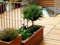 �S�n�悢��