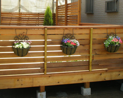 �E�b�h�f�b�L�{�s��2